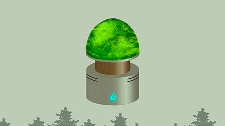 Natural Air Purifier 