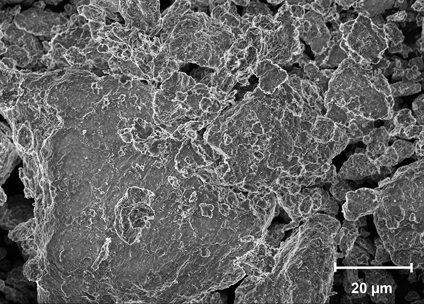 Scanning electron microscopy of smectite clay (montmorillonite) common in organic matter trapping in soils. Credit: Joseph A. Brogan/Aristilde Research Group